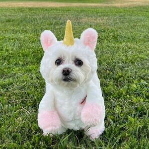 Pandaloon - Unicorn - Dog Costume size 1